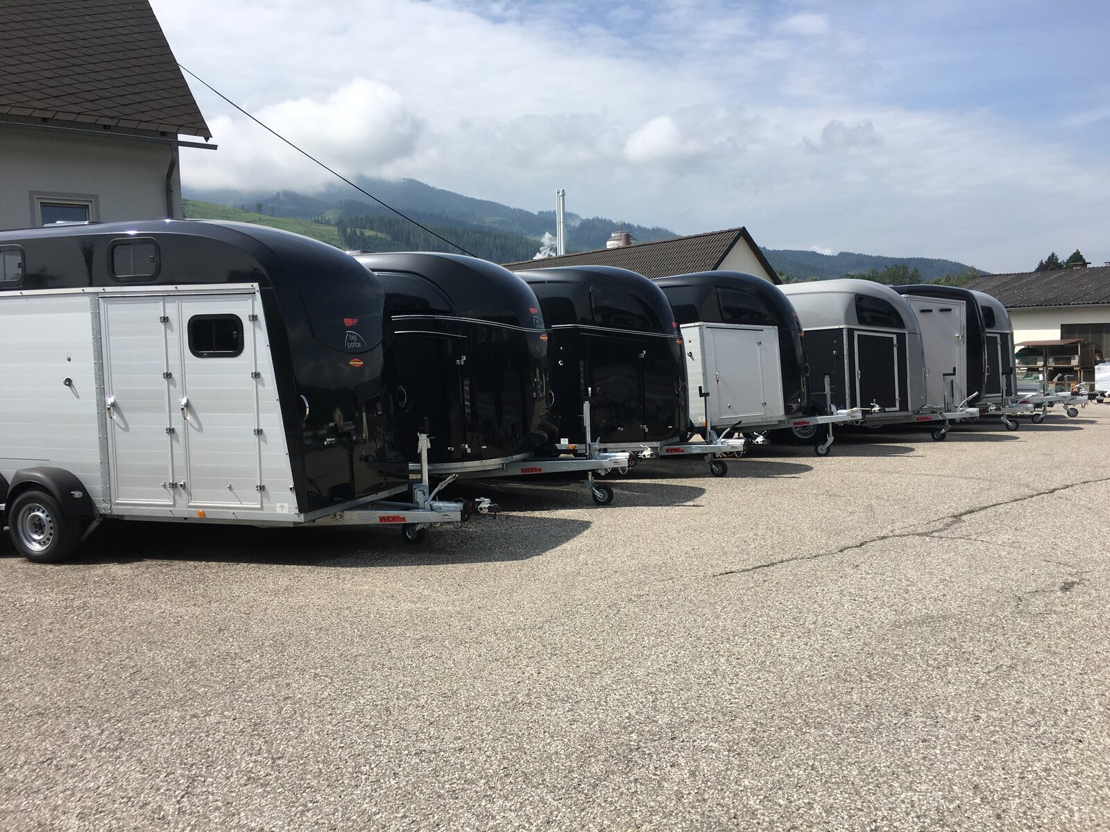 Pferdeanhänger, Böckmann Champion R, 2400 kg Gesamtgewicht mit ALU Aufbau und Polydach, Riesen Auswahl am Lager